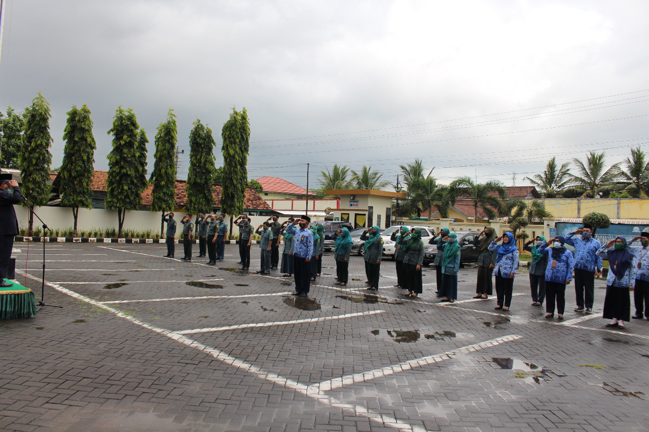 WhatsApp Image 2020 11 10 at 14.31.11